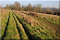 SO9809 : Right of way near Cotswold Park by Philip Halling