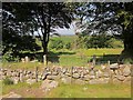 SX5384 : Ruins of Doe Tor Farm by Derek Harper