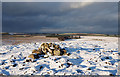  : Cairn on Crosby Ravensworth Fell by Trevor Littlewood