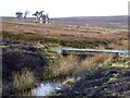 NZ0246 : Leat below Hisehope Reservoir by Oliver Dixon