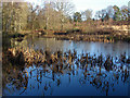 SU8359 : Stroud's Pond, Yateley Common by Alan Hunt