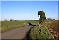 SU4278 : Unfenced Road &  Ivy by Des Blenkinsopp