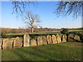 SU7856 : Corner of the Churchyard by Des Blenkinsopp