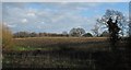 SJ7957 : Field of stubble by Stephen Craven