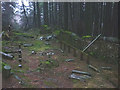 SD3493 : Remains of 'Church in the Woods', a sculpture at Grizedale Forest by Karl and Ali