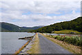 SH6516 : The Mawddach Trail near Garth Isaf by Phil Champion