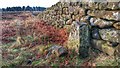 NZ5812 : Boundary Stone, Newton Moor by Mick Garratt