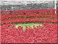 TQ3380 : Poppies Tower 2 by Bill Nicholls