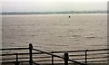 SJ3586 : River Mersey by Gerald England