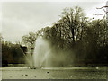 TQ3583 : Drifting spray, Victoria Park by Stephen Craven