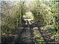 SU2072 : Triangulation pillar, Poulton Downs by Vieve Forward