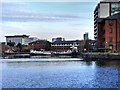 SJ8096 : Salford Quays, South Bay by David Dixon