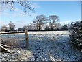 SJ4462 : Farmland east of Sandy Lane by Christine Johnstone