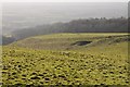 SO9738 : Conderton Camp Hillfort by Philip Halling