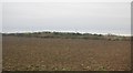 SK8538 : Farmland near Sedgebrook by N Chadwick