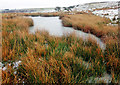 SE8291 : Frozen Dundale Pond by Scott Robinson