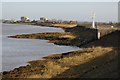 ST6498 : Banks of the River Severn near Severn House Farm by Philip Halling