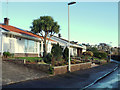 SX9574 : Bungalows on Hall Lane, Holcombe by Robin Stott