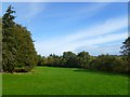 NY3846 : Pasture and woodland, Gaitsgill, Dalston by Andrew Smith