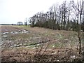 SE5229 : Waterlogged field, north of Hillam Common Lane by Christine Johnstone