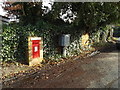 TM4656 : Park Road North George V Postbox by Geographer