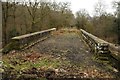 SO6508 : On a disused railway bridge by Philip Halling