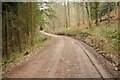 SO6409 : Forest track above Blackpool Brook by Philip Halling