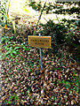 TM4460 : Hazelwood Pines sign by Geographer