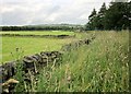 SE0829 : Calderdale Way by Holmfield Industrial Estate by Derek Harper