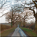 TL7808 : Trees and hedgerows on Tofts Chase, Little Baddow by Roger Jones