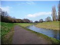 SJ8093 : River Mersey, looking downstream [north] by Christine Johnstone