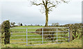 J3764 : Field gate, Carryduff - February 2015(2) by Albert Bridge