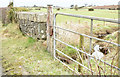 J3763 : Bridge and gate, Killinure, Carryduff (February 2015) by Albert Bridge