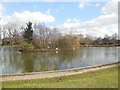 TQ5909 : Common Pond, Hailsham by Paul Gillett