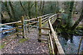  : Footbridge over the Plym by jeff collins