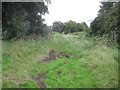 TQ5074 : River Cray: Flood Relief Channel (2) by Nigel Cox