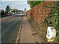 NY3868 : Milestone on the A7, south side of Longtown by Rose and Trev Clough