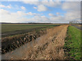 TL2190 : Holme Fen Engine Drain by Hugh Venables