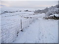 SD7891 : The Pennine Bridleway, approaching Mud Beck Gill by Christine Johnstone