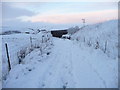 SD7992 : The Pennine Bridleway approaching Dandrymire Viaduct by Christine Johnstone