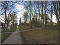 SJ8545 : Newcastle-under-Lyme: Stubbs Walks by Jonathan Hutchins