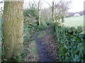 SE0822 : The Calderdale Way in North Dean Wood by Humphrey Bolton