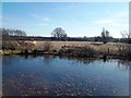 SK3418 : Pond, Livestock and Earthworks near Smisby by Jonathan Clitheroe