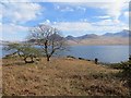 NM4939 : Loch na Keal by Richard Webb