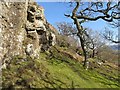 NM4442 : Basalt crag by Richard Webb