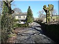 SE0325 : Pollarded tree, Ellen Royd Lane, Midgley by Humphrey Bolton