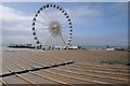 TQ3103 : Brighton big wheel by Philip Halling