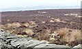 SE1751 : Line of grouse butts, Askwith Moor by Christine Johnstone