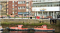 J3474 : Beaver boats, Donegall Quay, Belfast (March 2015) by Albert Bridge