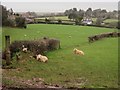 SS8946 : Guardians of the parish boundary by Derek Harper